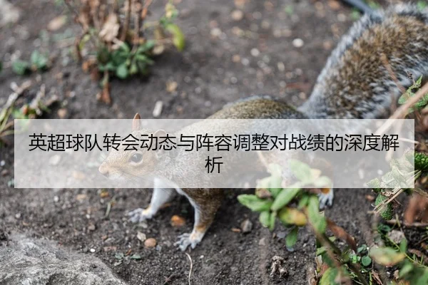 英超球队转会动态与阵容调整对战绩的深度解析